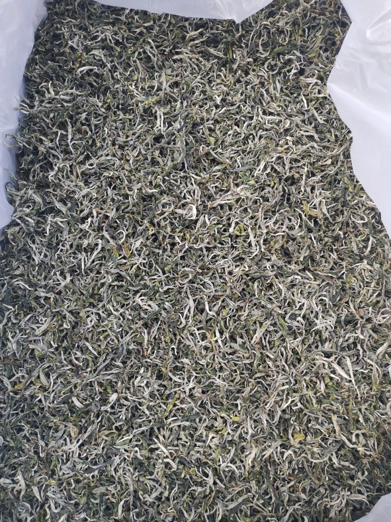 绿茶一级翠茗一级银丝普洱茶银丝滇绿