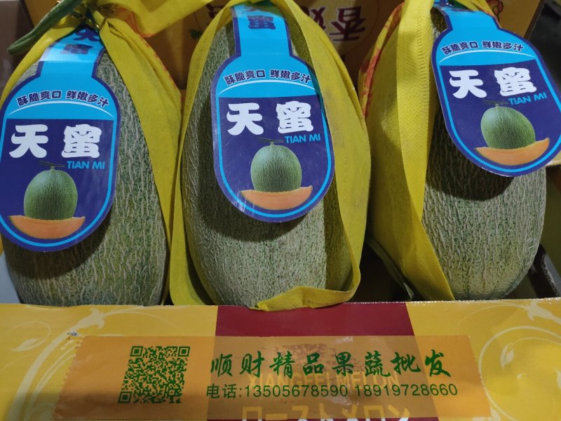 洋角密，博洋九号。东方蜜。花蕾。小蜜二五。