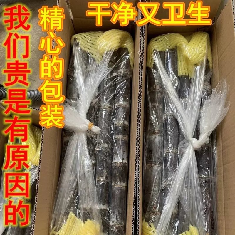 广西上思县黑皮甘蔗品质全区出名鲜绿色水果脆甜孕妇水果