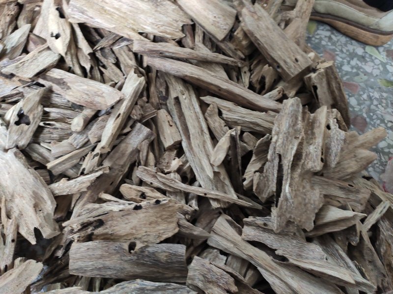 中药材沉香做香原料。