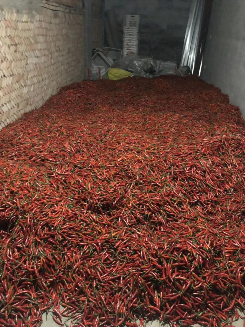 小米辣