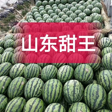 甜王西瓜，早春红玉，2K，墨童西瓜，大红瓤黑子，代发全国