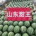 甜王西瓜，早春红玉，2K，墨童西瓜，大红瓤黑子，代发全国