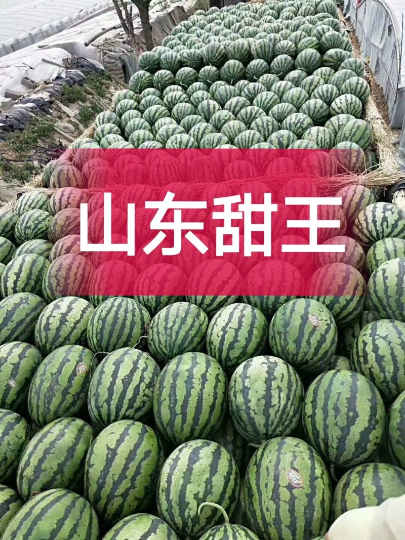 甜王西瓜，早春红玉，2K，墨童西瓜，大红瓤黑子，代发全国