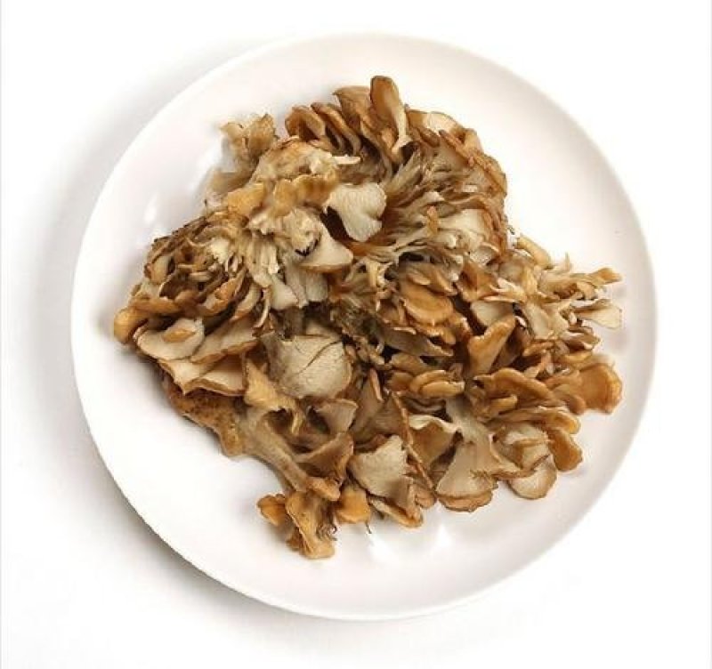 灰树花，常年批发供应冷背中药材灰树花量大从优