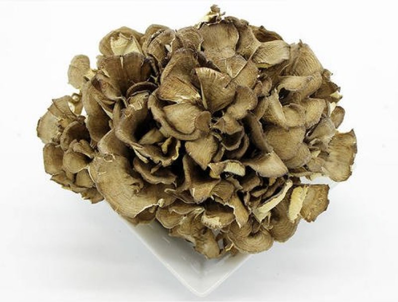 灰树花，常年批发供应冷背中药材灰树花量大从优