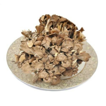 灰树花，常年批发供应冷背中药材灰树花