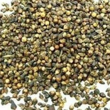 水翁花，常年批发供应冷背中药材水翁花
