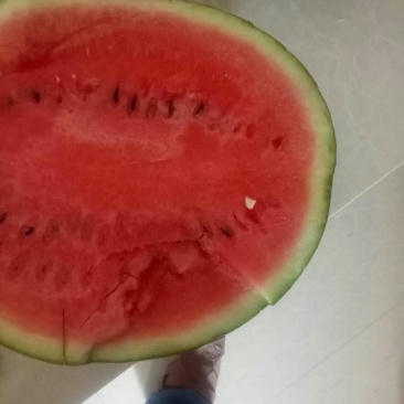 万亩精品甜王产地直销直发