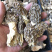 承德野生羊肚菌，自然凉干，手工挑拣。