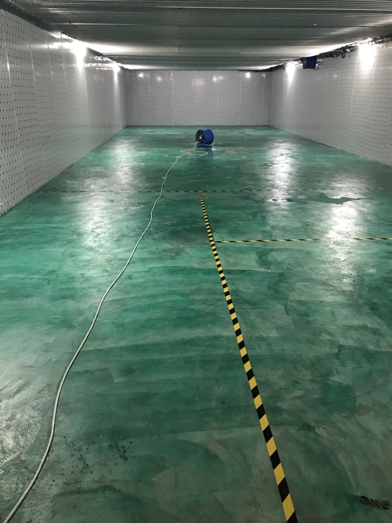 东西湖大量冷藏库冷冻库出租