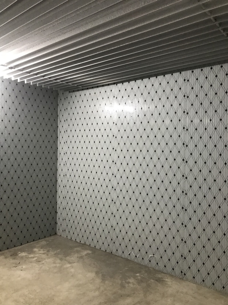 东西湖冷藏库冷冻库优价出租