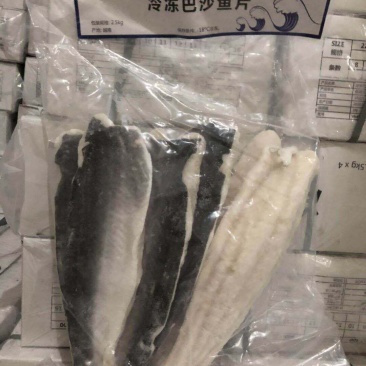 带皮巴沙鱼
