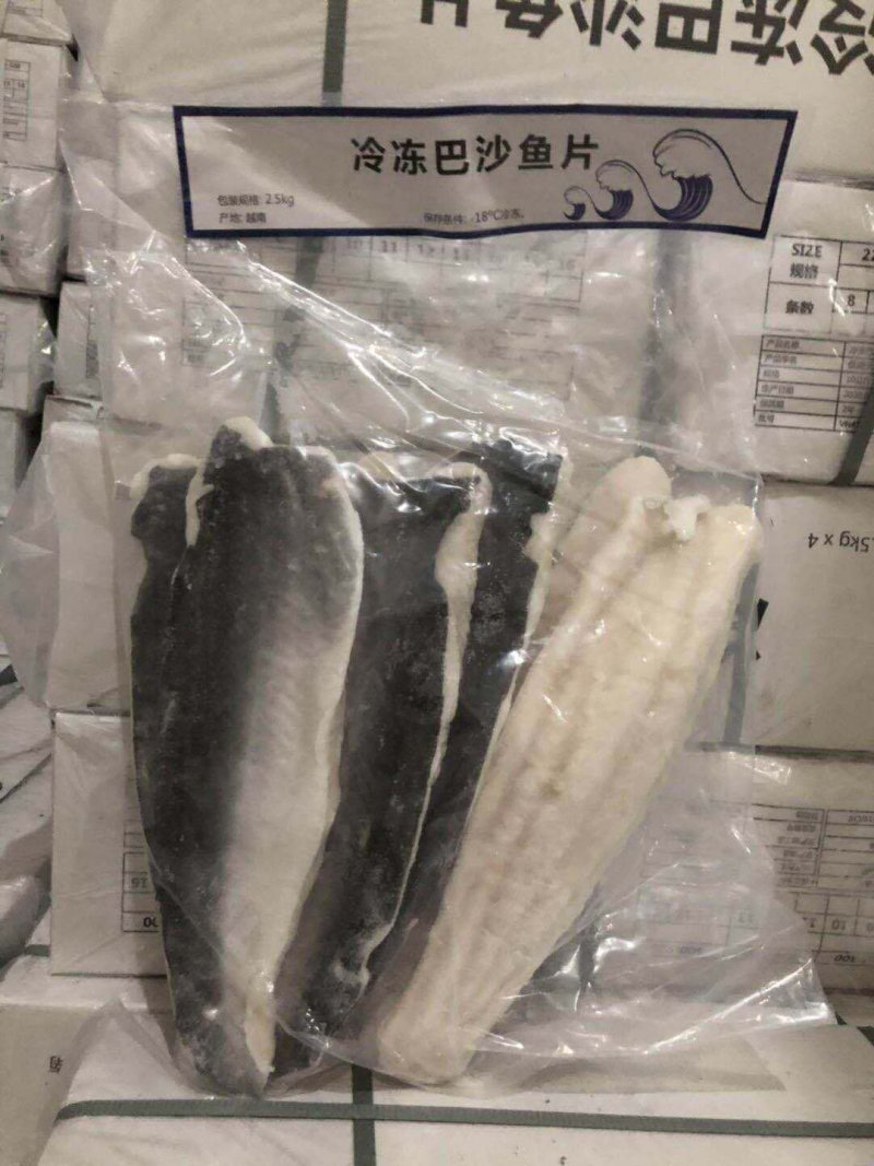 带皮巴沙鱼