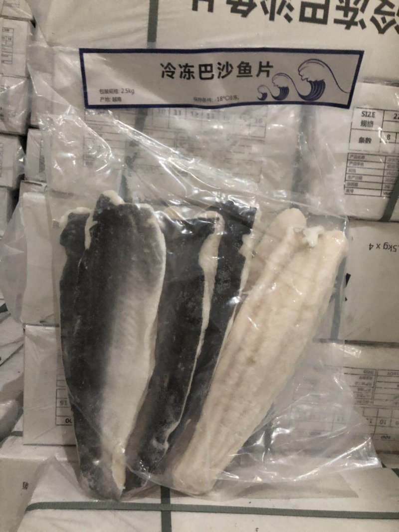 带皮巴沙鱼