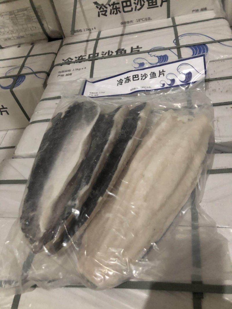 带皮巴沙鱼