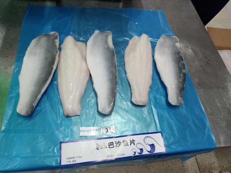 带皮巴沙鱼
