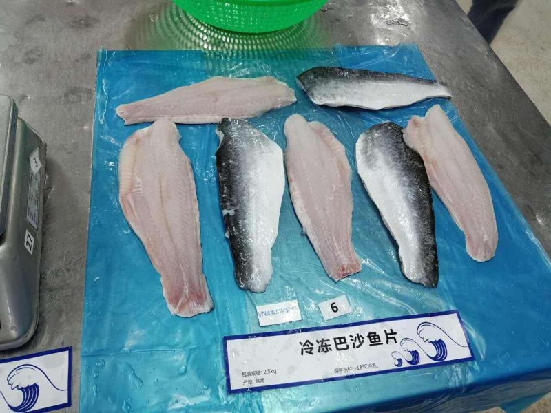 带皮巴沙鱼