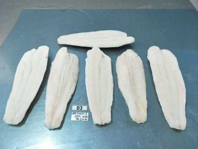 冻巴沙鱼厂家直销