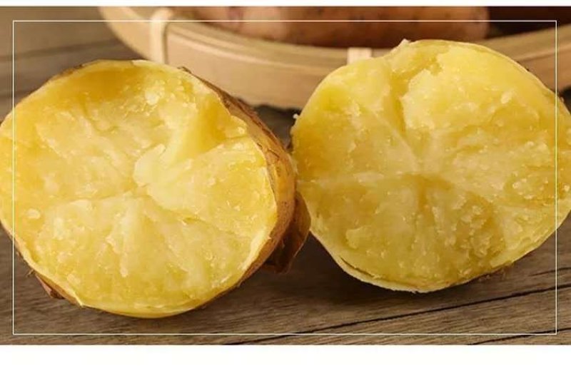 湖北黄皮黄心新鲜小土豆新鲜现挖马铃薯洋芋