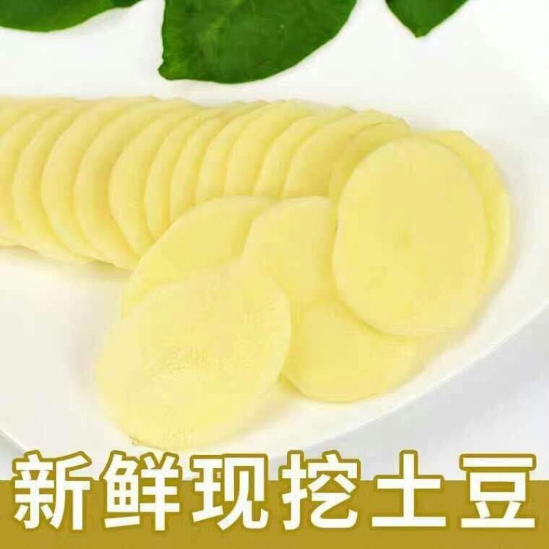 湖北黄皮黄心新鲜小土豆新鲜现挖马铃薯洋芋