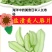 裙带菜梗海白菜梗凉拌海白菜梗海中珍品菜包邮
