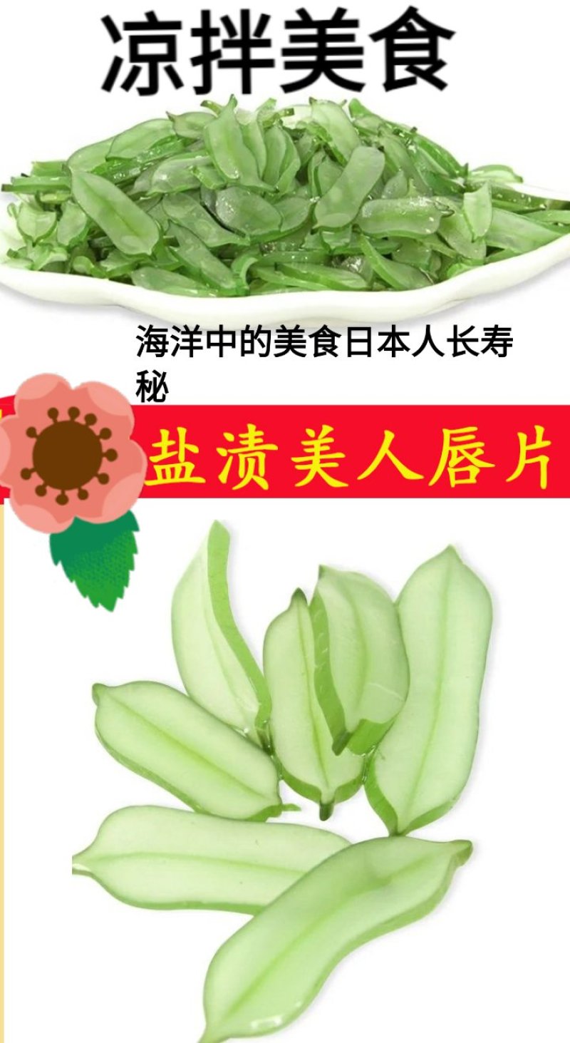 裙带菜梗海白菜梗凉拌海白菜梗海中珍品菜包邮