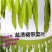 裙带菜梗海白菜梗凉拌海白菜梗海中珍品菜包邮