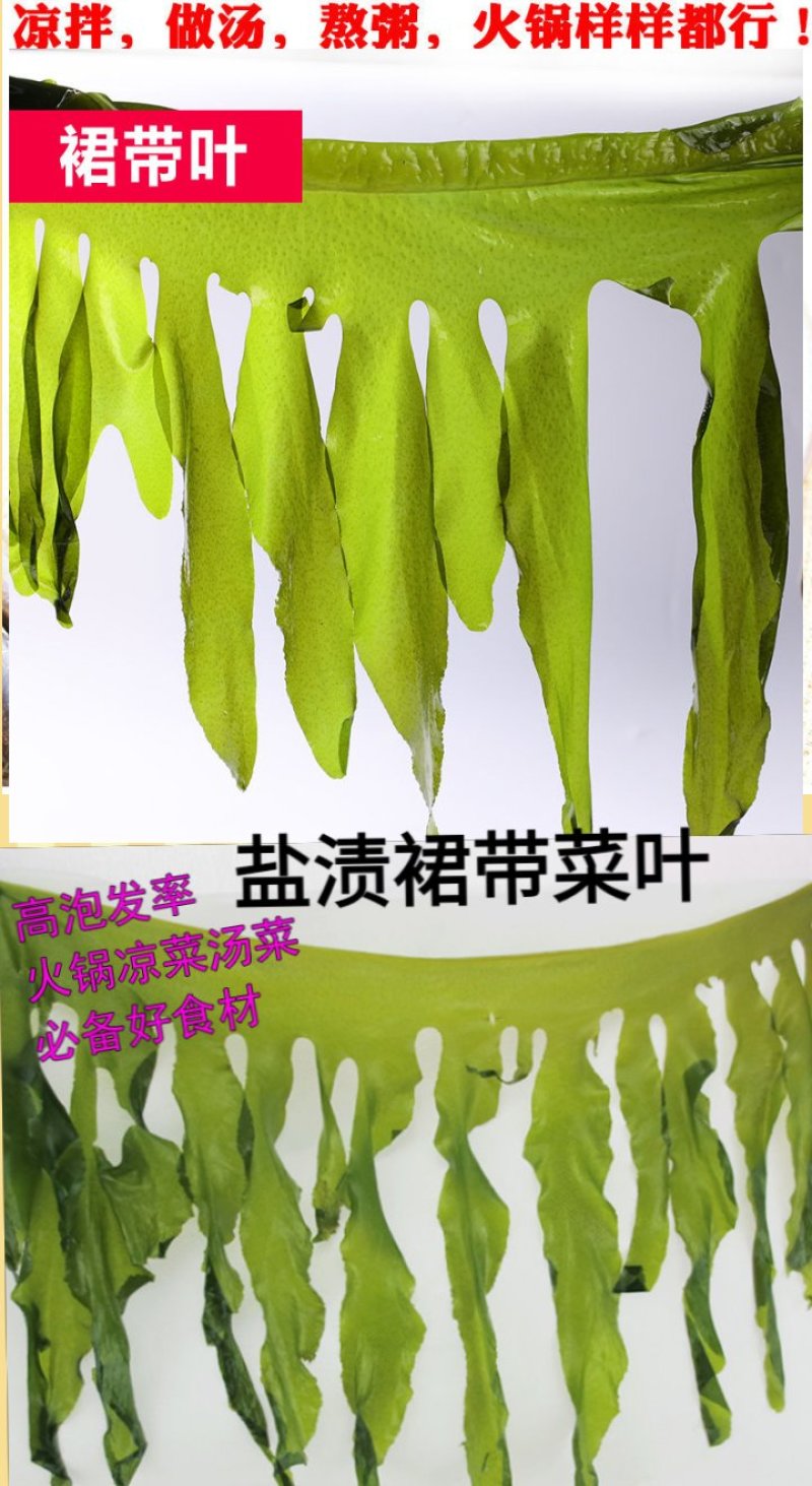裙带菜梗海白菜梗凉拌海白菜梗海中珍品菜包邮