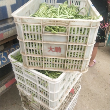 豆角