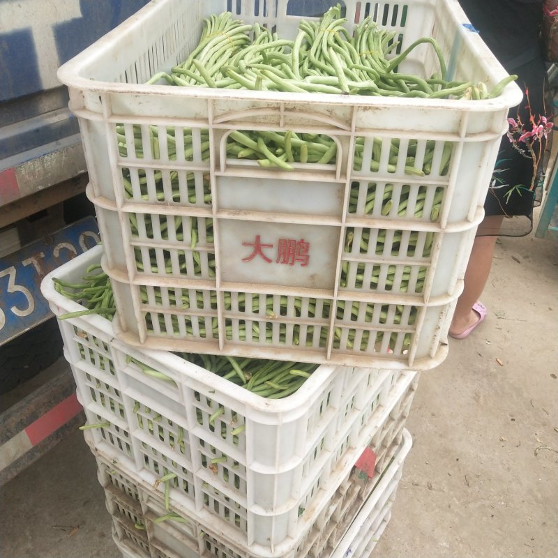 豆角