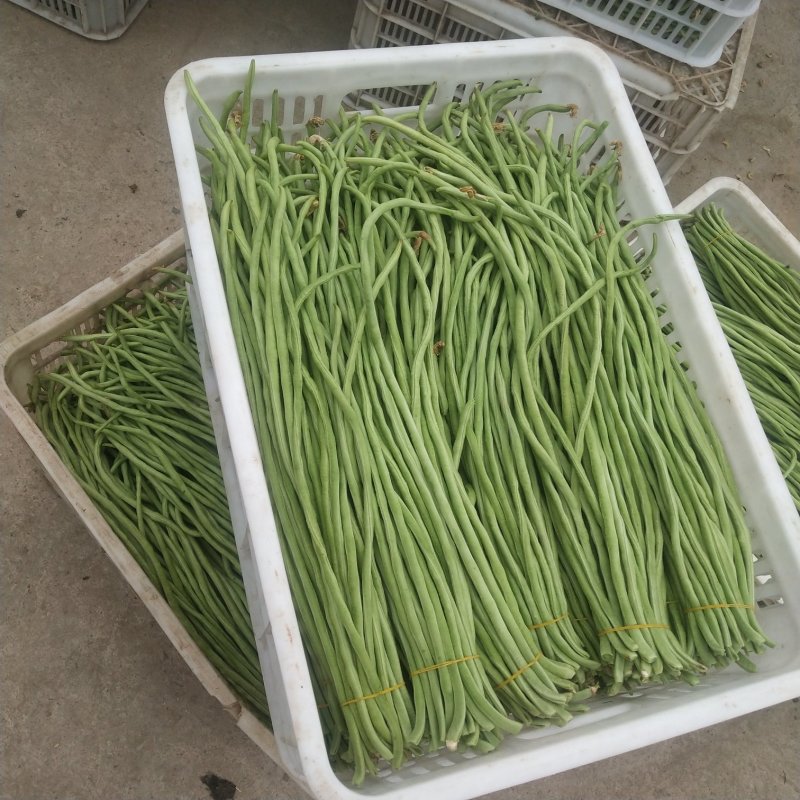 豆角