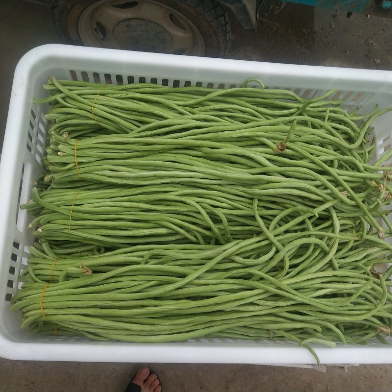 豆角