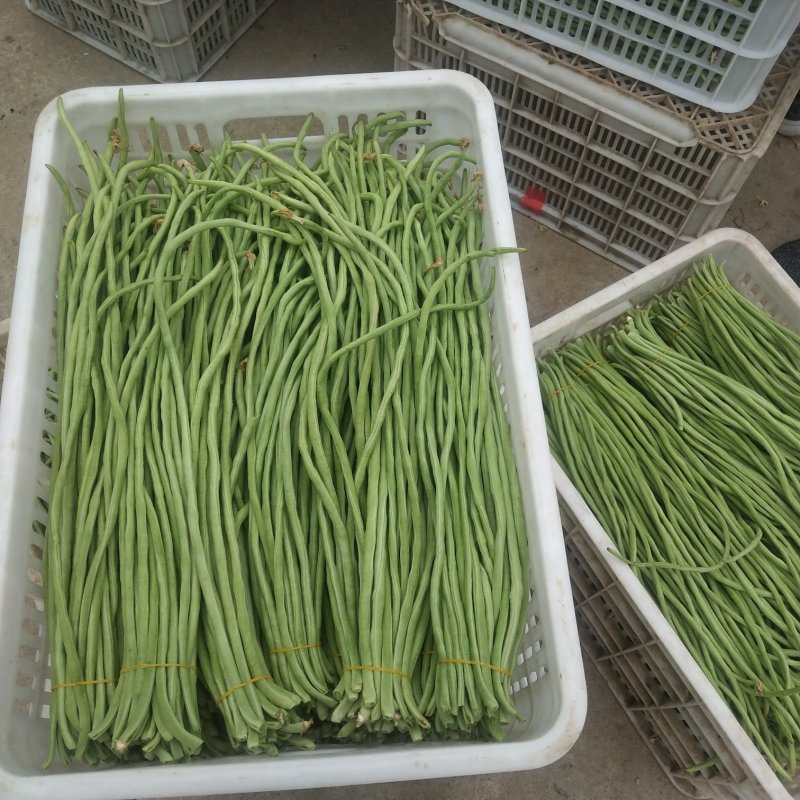 豆角