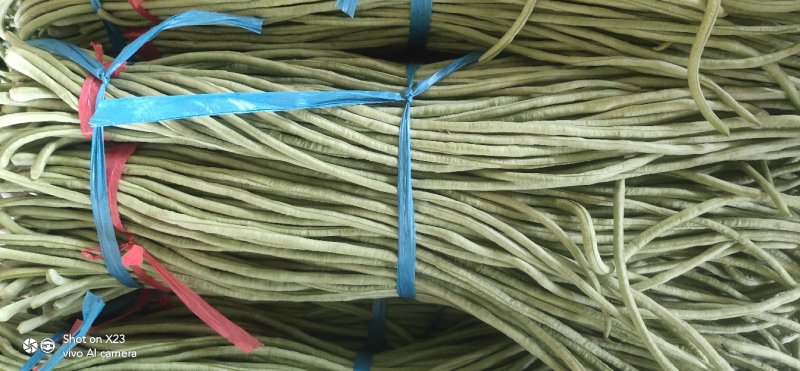 长豆角大量上市！