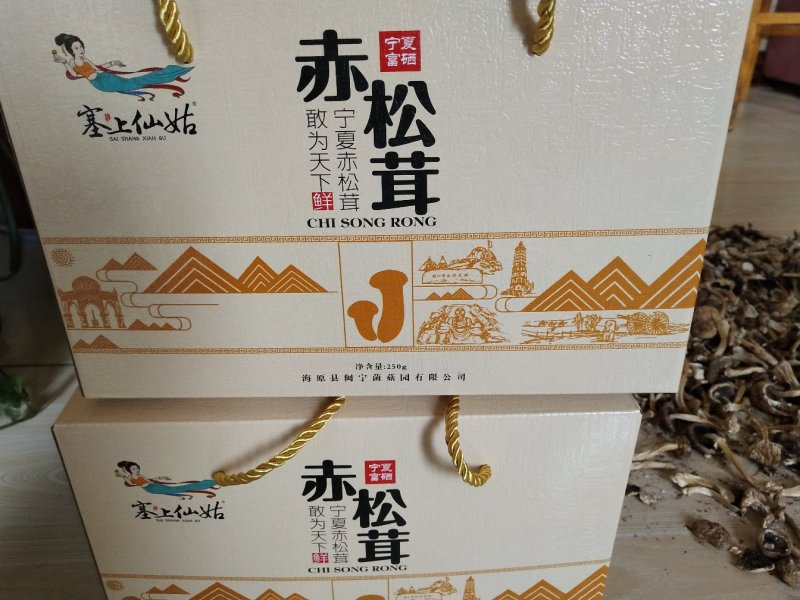 赤松茸