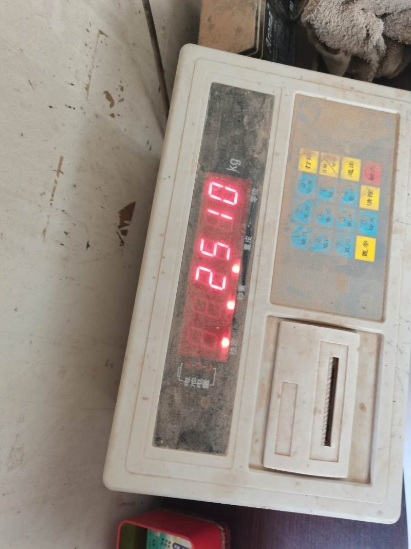 潍坊西瓜产地直销一手货源量大从优