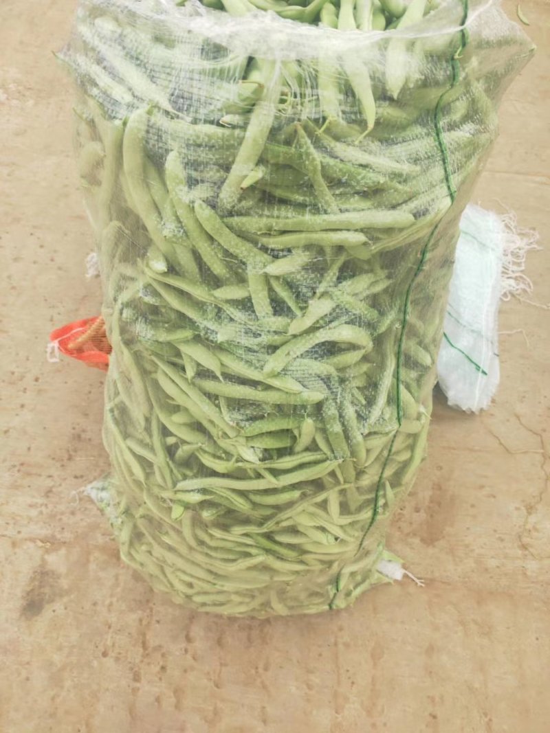 四季豆新野本地货，青豆和白不老，产地直供，货优价廉！