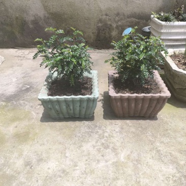 底部灌浆花盆模具