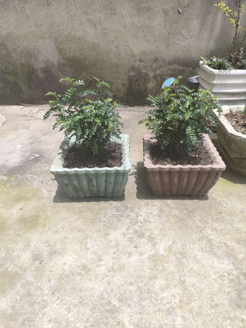 底部灌浆花盆模具