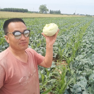 鮮茎蓝