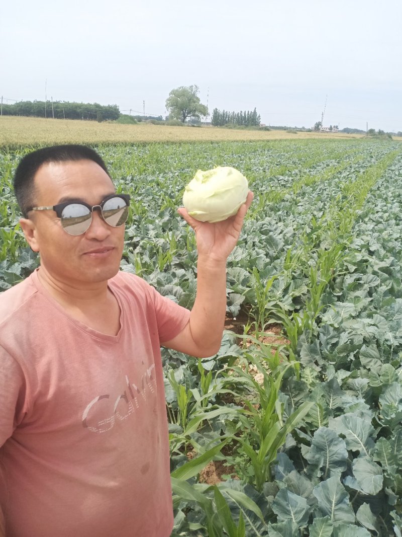 鮮茎蓝