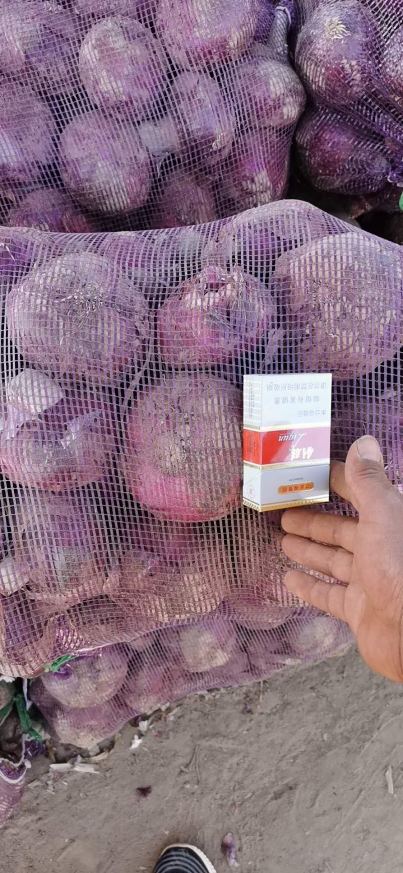 洋葱紫皮洋葱大量上市诚信经营个头均匀