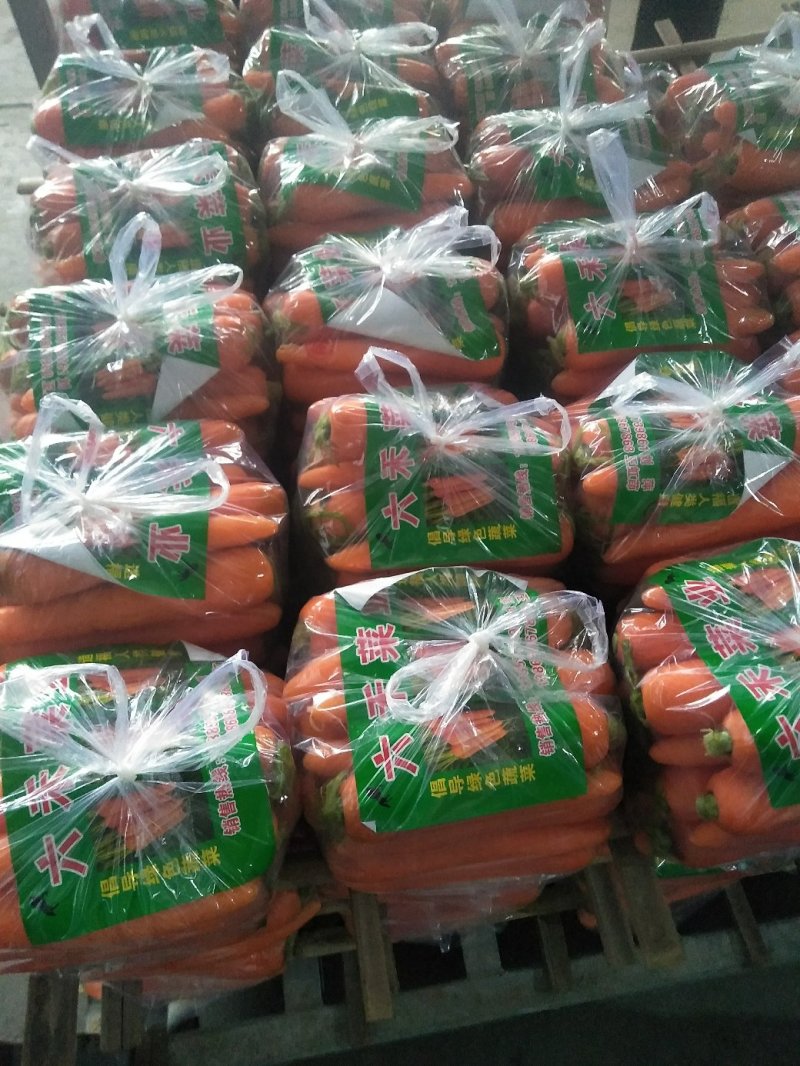 三红胡萝卜