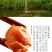 金丝鸭蛋野鸭蛋真空蛋山东鸭蛋五香蛋马踏湖鸭蛋流油咸蛋