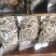 野生菌批发，各种野生食用菌类干品