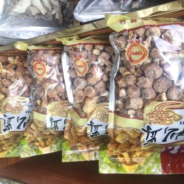 野生菌批发，各种野生食用菌类干品