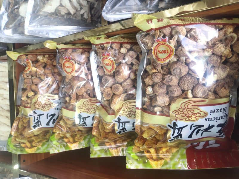 野生菌批发，各种野生食用菌类干品