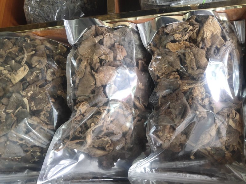 野生菌批发，各种野生食用菌类干品
