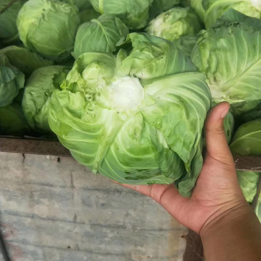 原产地货源大量现货供应